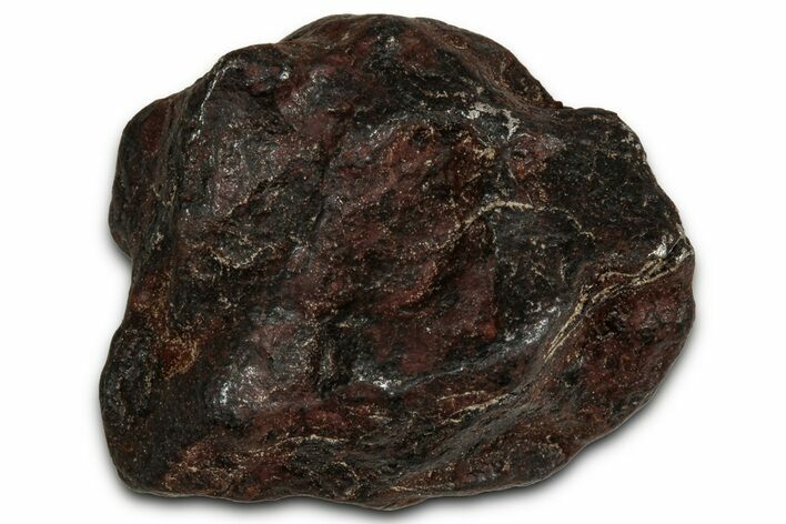 Canyon Diablo Iron Meteorite ( g) - Arizona #356004